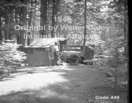 Camping at Pinecrest